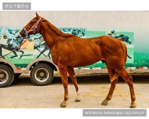 赛马大奖赛：冷门黑马夺冠震惊博彩公司