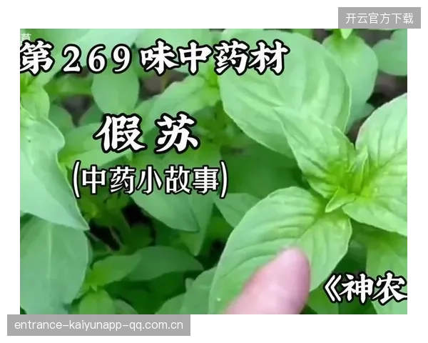 复出取决于何时停药：运动员、运动员与药物的真实故事